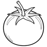 Cà Chua