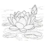 Hoa Sen