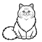 Mèo