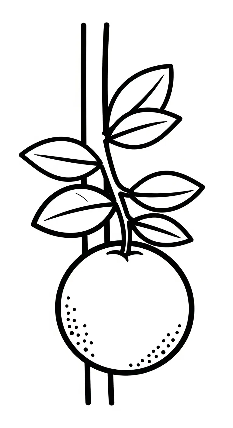 tranh tô màu Tranh Tô Màu Cam cho bé 1