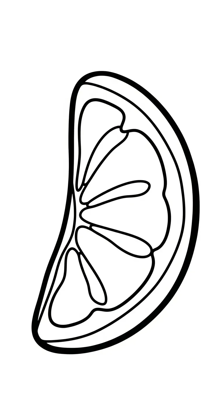 in tranh tô màu Tranh Tô Màu Cam cho bé 3 tuổi