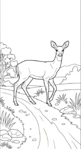 hình tô màu Con Nai pdf