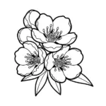 Hoa Đào