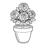 Hoa Hồng thumbnail