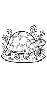 hình tô màu Rùa cho bé 7 tuổi miễn phí