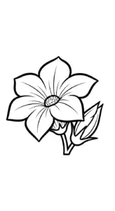 in hình tô màu Bí Đỏ cho bé 4 tuổi