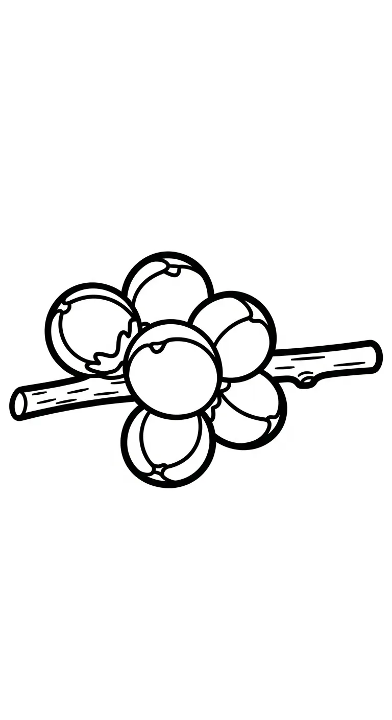 tranh tô màu Hoa Mai rõ nét