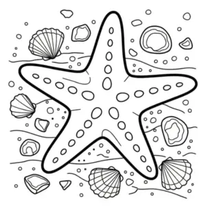 Sao Biển thumbnail