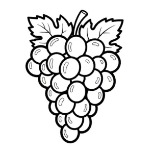 Chùm nho thumbnail