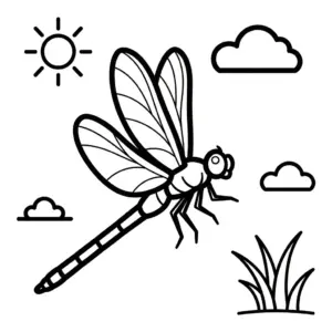 Chuồn Chuồn thumbnail