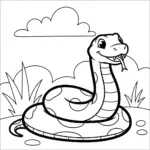 Rắn