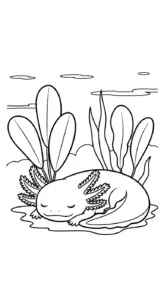 download hình tô màu Tranh Tô Màu Axolotl cho bé
