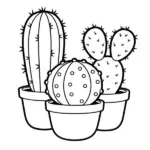 Xương Rồng thumbnail
