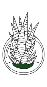 tranh tô màu Xương Rồng cho bé