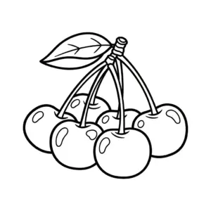 Cherry