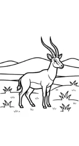 tải tranh tô màu Tranh Tô Màu Linh Dương cho bé 3 tuổi