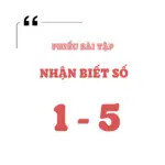 Nhận biết số 1 – 5 (2 – 4 tuổi)