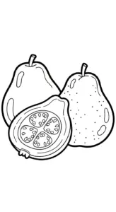 hình tô màu tranh tô màu quả ổi cho bé mới nhất