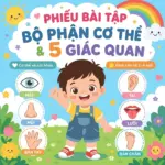 Bộ Phận Cơ Thể Và Năm Giác Quan