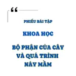 Bộ Phận Của Cây Và Quá Trình Nảy Mầm
