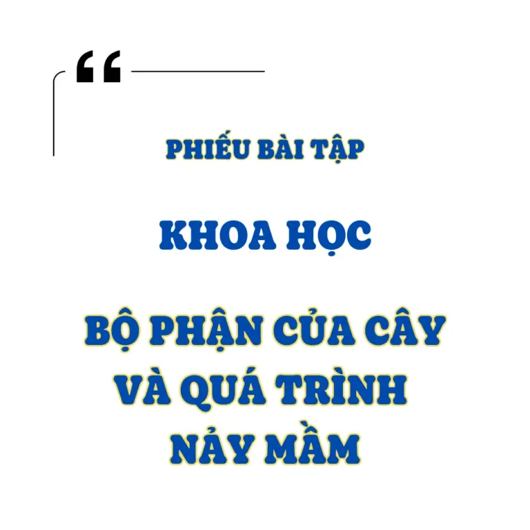 Tranh tô màu Bộ Phận Của Cây Và Quá Trình Nảy Mầm