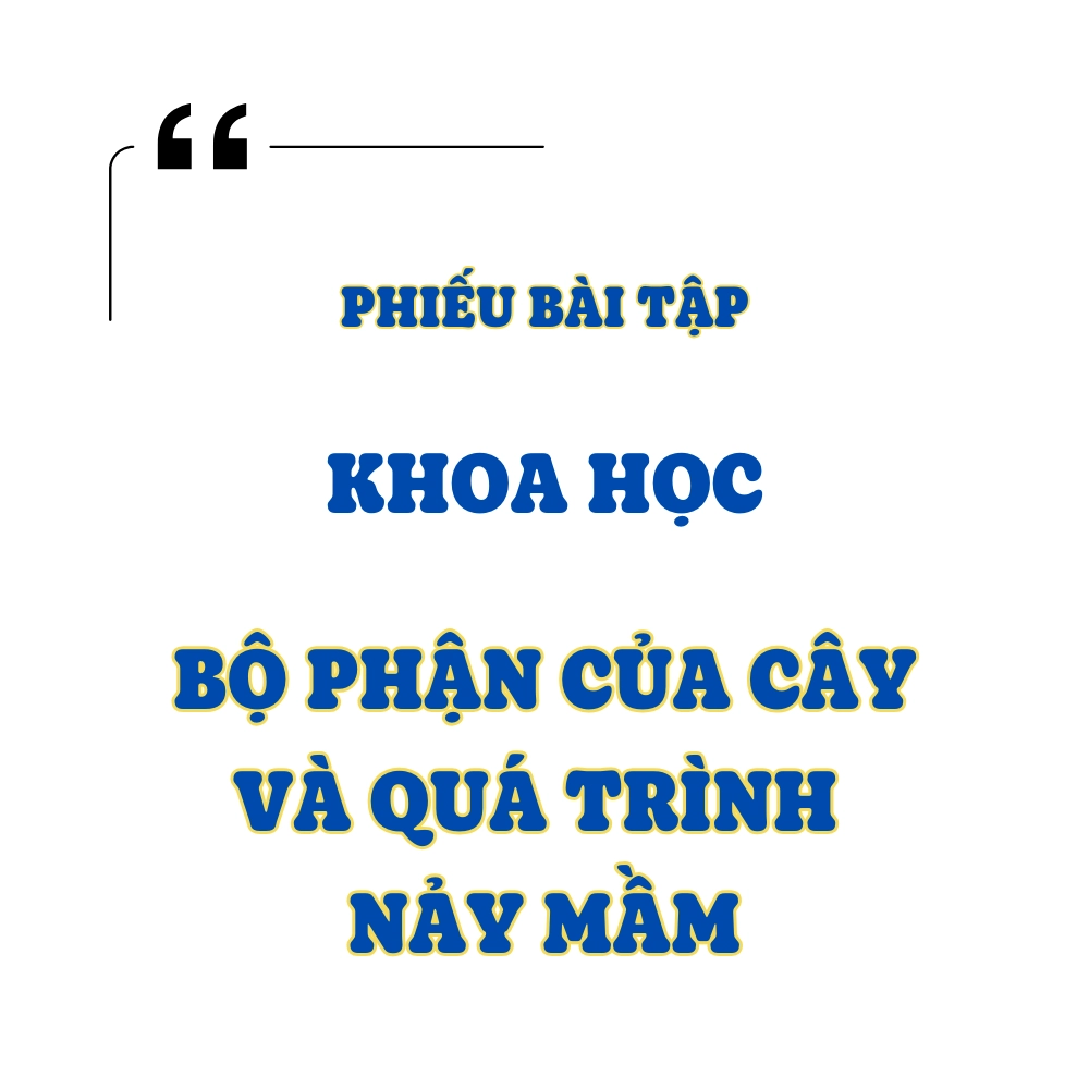 Bộ Phận Của Cây Và Quá Trình Nảy Mầm