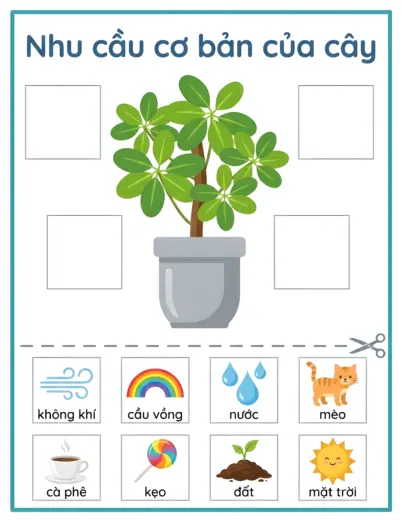 phiếu bài tập Chọn điều cây cần