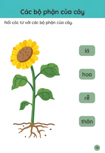 phiếu bài tập Nối bộ phận với vị trí
