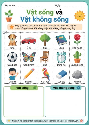 phiếu bài tập Phân loại vật sống và không sống