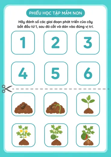 phiếu bài tập Sắp xếp quá trình nảy mầm cho bé