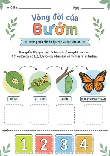 phiếu bài tập Sắp xếp vòng đời bướm