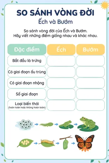 phiếu bài tập So sánh hai vòng đời