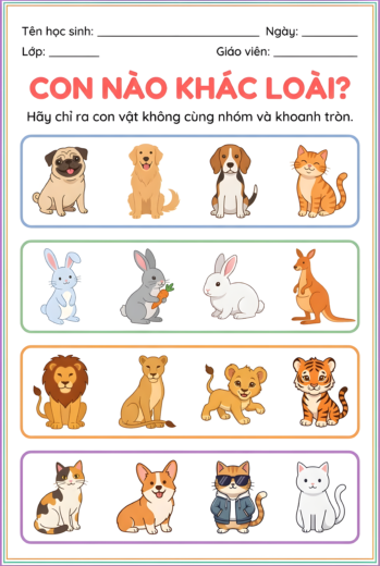 phiếu bài tập Tìm con vật không cùng nhóm