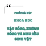 Vật Sống, Không Sống Và Nhu Cầu Sinh Vật