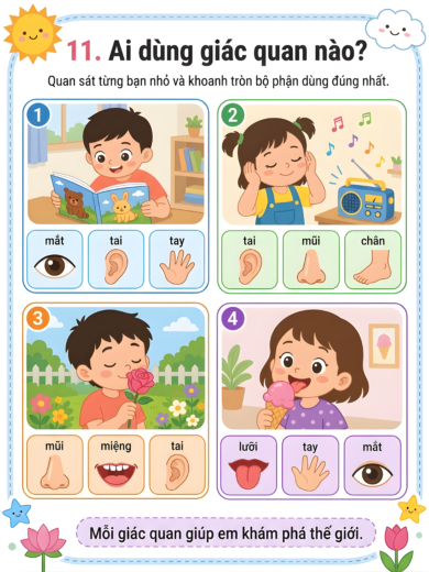 phiếu bài tập ai đang dùng giác quan