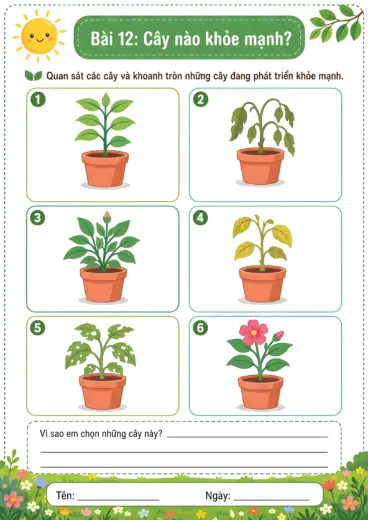 phiếu bài tập cây nào khỏe mạnh