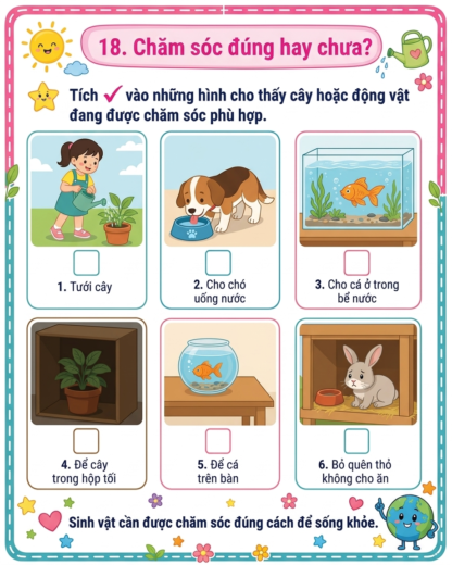 phiếu bài tập chăm sóc đúng hay chưa