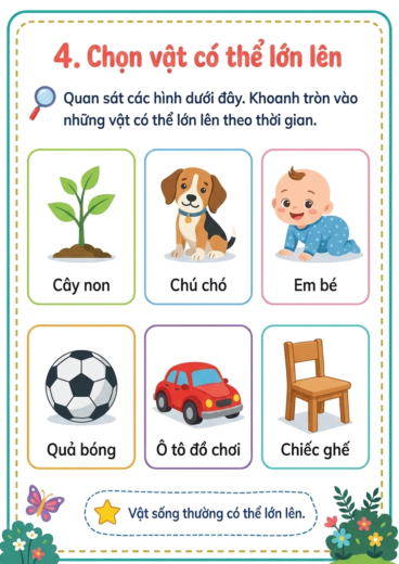 phiếu bài tập chọn vật có thể lớn lên