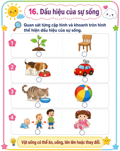 phiếu bài tập dấu hiệu của sự sống
