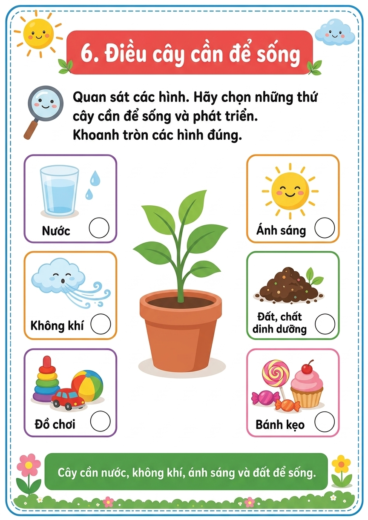 phiếu bài tập điều cây cần để sống