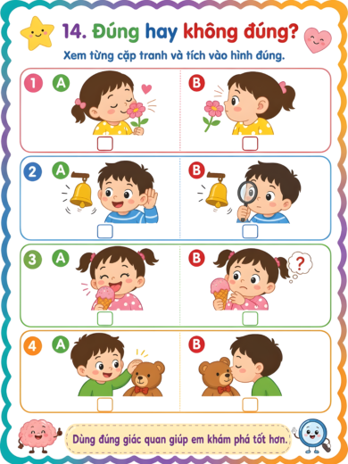 phiếu bài tập đúng hay không đúng