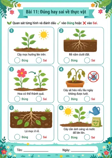 phiếu bài tập đúng hay sai về thực vật