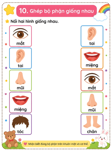 phiếu bài tập ghép bộ phận giống nhau cho bé