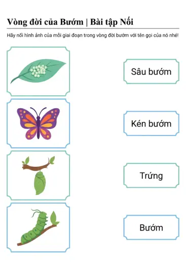 phiếu bài tập ghép tên với giai đoạn cho bé