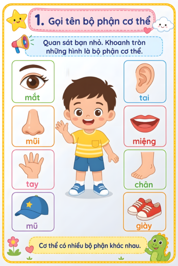phiếu bài tập gọi tên bộ phận cơ thể