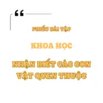 Nhận Biết Các Con Vật Quen Thuộc