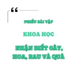 Nhận biết cây, hoa và rau củ quả