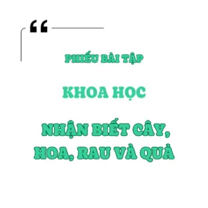 Nhận biết cây, hoa và rau củ quả
