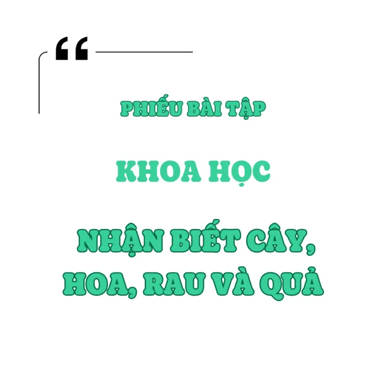 Tranh tô màu Nhận biết cây, hoa và rau củ quả