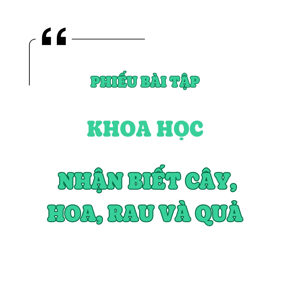 Nhận biết cây, hoa và rau củ quả